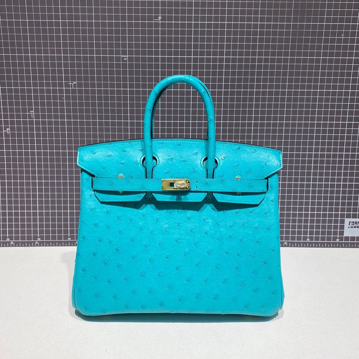 HERMES BIRKIN 30CM CLOUD BLUE OSTRICH LEATHER GOLD HARDWARE