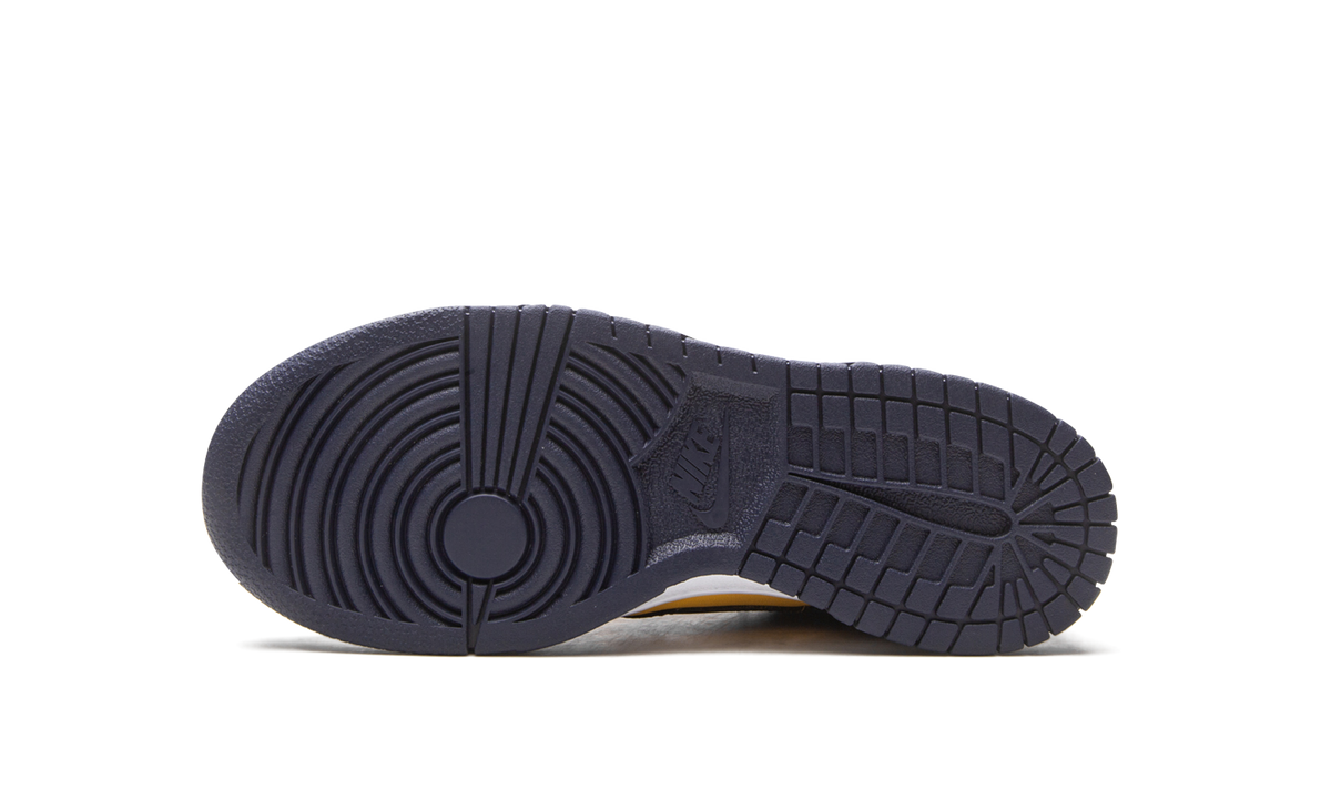 Dunk Low GS "Michigan 2021" CW1590 700